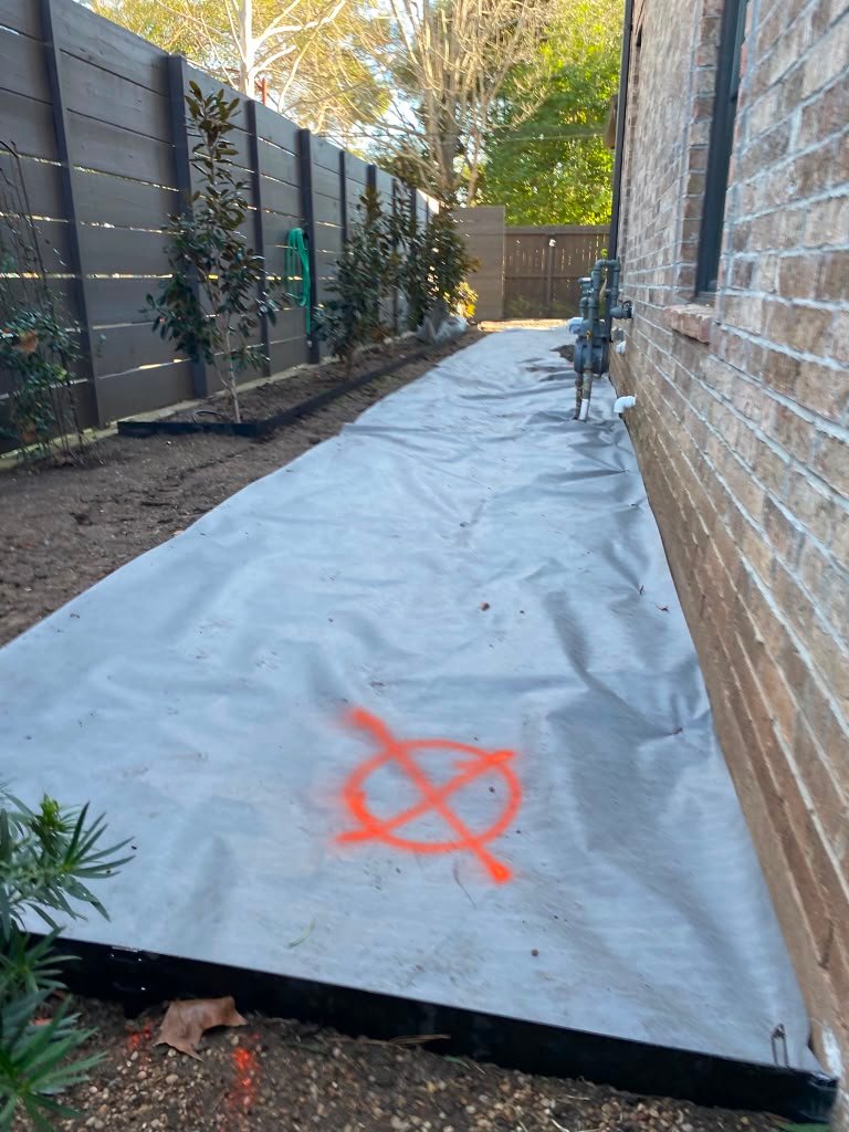 Outdoor walkway surrounded by residential landscaping